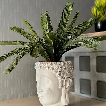 Casa Manfredi Roma 4*