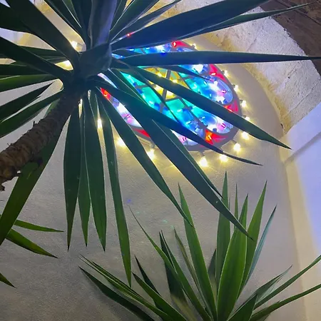 Casa Manfredi Roma ベッド・アンド・ブレックファスト